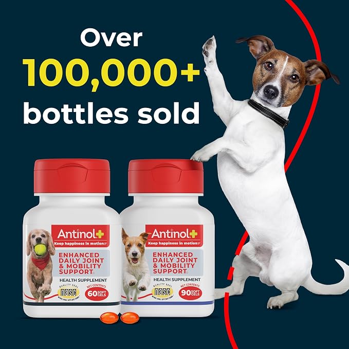 Antinol Plus, Mobility, Hip, and Joint Supplement for Dogs, Green-Lipped Mussels and Krill Oil - Dog Joint Supplement, Better and Faster Than Glucosamine and Chondroitin, 90 Soft Gels
