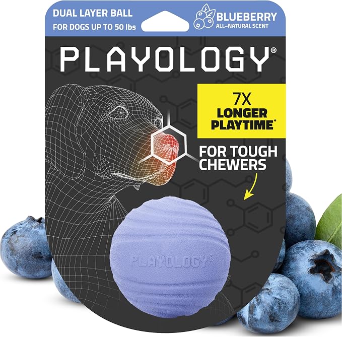 Playology Dog Toys | Dual Layer Ball Durable Chew Toy for Tough Chewers | Blueberry Scented Medium Dog Toy | Chew Toys for Dogs