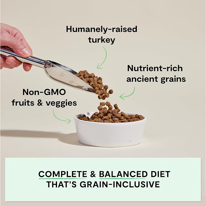 Open Farm, Ancient Grains Dry Dog Food, Protein-Rich & Nutrient Dense, 90% Animal Protein Mixed with Non-GMO Fruits, Veggies and Superfoods, Homestead Turkey Recipe, 11lb Bag