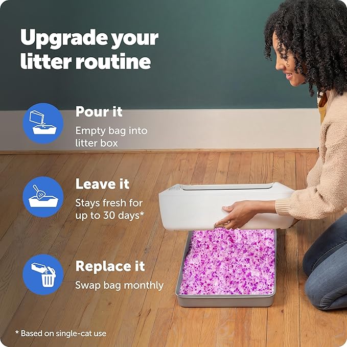 PetSafe ScoopFree Premium Crystal Cat Litter - Outperforms Clay Litter - Refill Packs - Reusable Tray Compatible - Lavender Scent - 4.3 lb Bags - 2 Pack