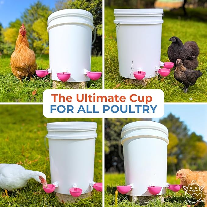 Lil'Clucker - Large Automatic Chicken Waterer Cups Suitable for Ducks, Geese, Turkeys, and Bunny Rabbit - Water Feeder Kit - Poultry Waterer (Pink, 8 Pack)