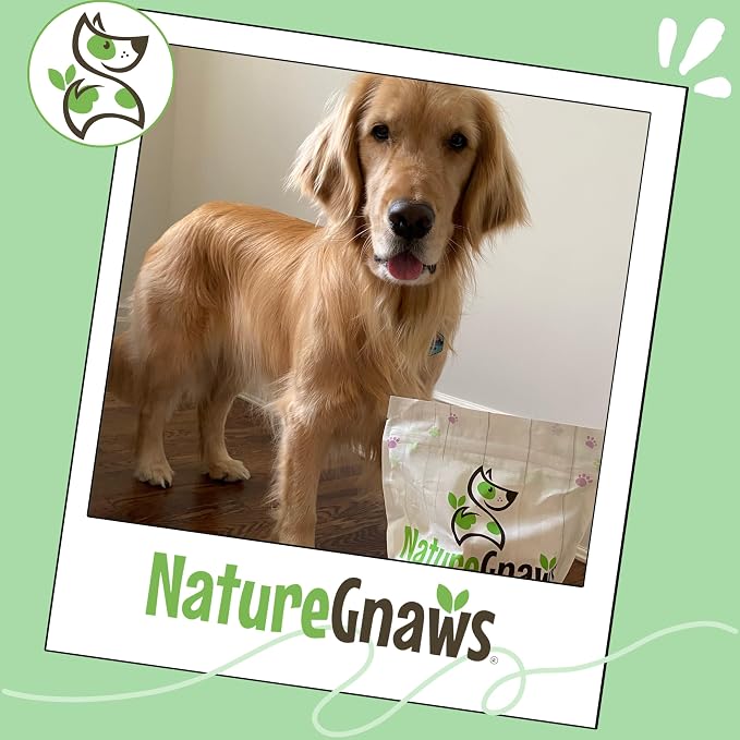 Nature Gnaws Variety Pack for Large Dogs (12 Count) - Bully Sticks, Beef Tendons and Tripe Twists for Dogs - Natural Long Lasting Beef Dog Chew Bones - Rawhide Free