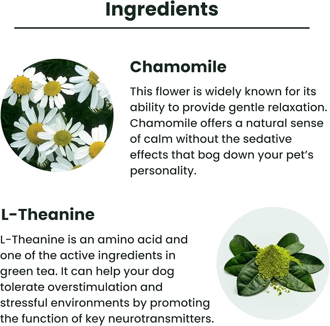 Lolahemp Calming Hemp Oil for Dogs with L-Theanine and Chamomile - Vet Formulated Natural Calming Dog Support - for Nerves, Loud Noises, Thunder, Fireworks - Promotes Relaxation - USA Made