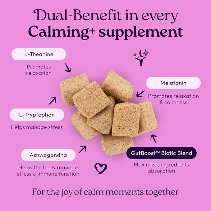 New! WellJoy Cat Supplement Calming+ GutBoost | Cat Health Supplement | Promotes Relaxation & Calmness | Dual-Benefit GutBoost Formulation | Vet Formulated | USA Made | Chicken Flavor | 90 Soft Chews