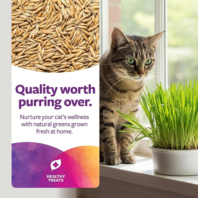 SmartyKat Sweet Greens Organic Oat Grass All-in-One Cat Grass Grow Kit, Easy-to-Grow to Support Digestion & Hairball Reduction