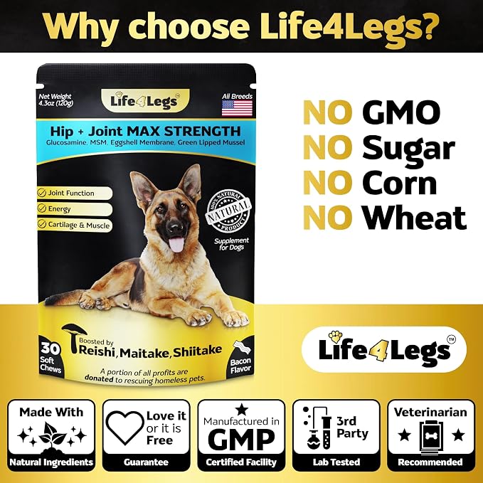 Joint Supplement for Dogs 500mg Glucosamine + 500mg MSM, Eggshell Membrane - Daily Hip and Joint Chews with Chondroitin, Green Lipped Mussel, Bacon Flavor, Non-GMO, 90ct