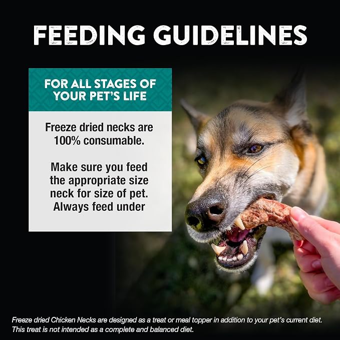 Northwest Naturals Raw Rewards Freeze-Dried Chicken Neck Treats for Dogs and Cats - Whole Neck - Healthy, 1 Ingredient, Human Grade Ingredients, All Natural, Proudly Made in USA, 4 Oz