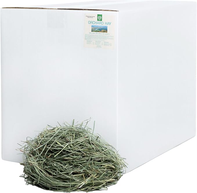 Small Pet Select Orchard Hay, Grass for Rabbit, Guinea Pig, Bunny, Chinchilla and Other Small Animals, Premium Natural Hay Grown in The US, Pet Food, 40 lb