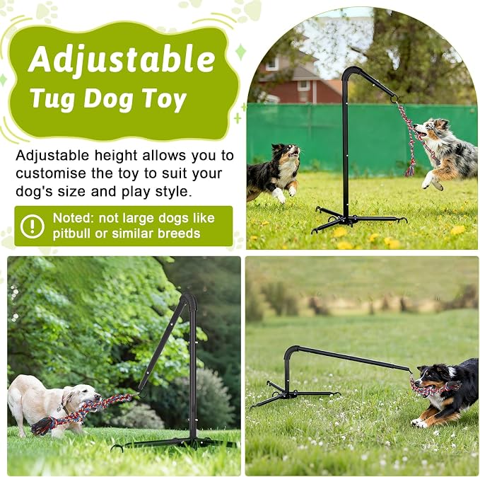 Outdoor Dog Tug Toy for Backyard, Dog Tether Toy, Adjustable Height Durable Spring Pole Dog Toy for Small Medium Dogs, Interactive Hands-Free Dog Exercise Toy with 2 Chew Rope Toys