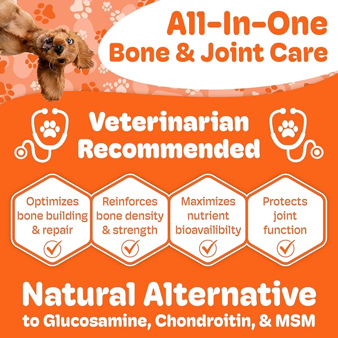 Boneo Canine Lactoferrin for Dogs - Bone & Joint Supplement for Dogs, Supports Bone Strength, Joint Health & Mobility, Liver & Sausage Flavor, 90 Ct Dual Pack Chewable Tablets