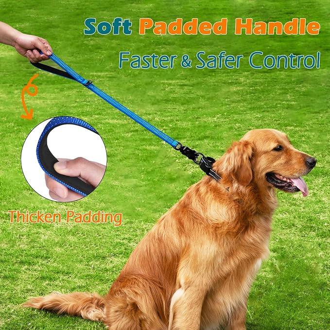 PetBonus Heavy Duty 24 Inch Short Dog Leash and 2-Pack Large Silicone Collapsible Dog Bowls