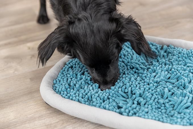 TRIXIE Snuffle & Seek Plate, Snuffle Mat for Dogs, Level 1 Interactive Dog Toys, Enrichment Puzzle, Slow Feeder