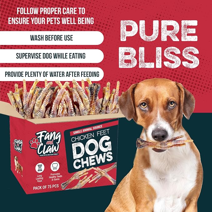 Nail-Free Chicken Feet for Dogs, 75 Count Bulk Pack — Single-Ingredient Air-Dried Dog Chews, Glucosamine and Chondroitin Joint Support, Grain-Free Natural Treat for Hip Health