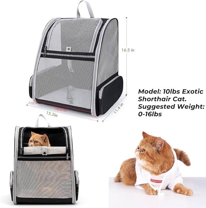 Lollimeow Cat Backpack Carrier, Ideal for Small Animals & Puppies, Airline Approved,Safe for Travel, Hiking, Vet Transport & Outdoor Use Fully Ventilated Design for Ultimate Comfort On-the-Go