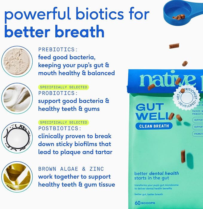 Native Pet GutWell Clean Breath - Dog Breath Freshener & Dog Teeth Cleaning Powder Cold-Pressed to Reduce Plaque, Tartar & Promote Oral Health with Triple-Biotic Blend, Brown Algae & Zinc - 60 Scoops