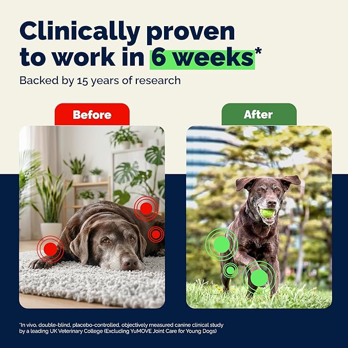 YuMOVE Hip & Joint Supplement for Dogs - with Glucosamine Chondroitin, Omega 3, Hyaluronic Acid, Green Lipped Mussel & Fish Oil for Dogs - Senior Dog Joint Supplement (Advanced Strength 120ct Chew)