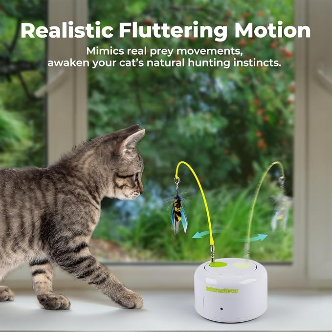 ALL FOR PAWS Interactive Cat Toys, Motion Activated Feather Cat Toy, Automatic Fluttering Bug Enrichment Toy for Kittens, Includes One Insect Replacement
