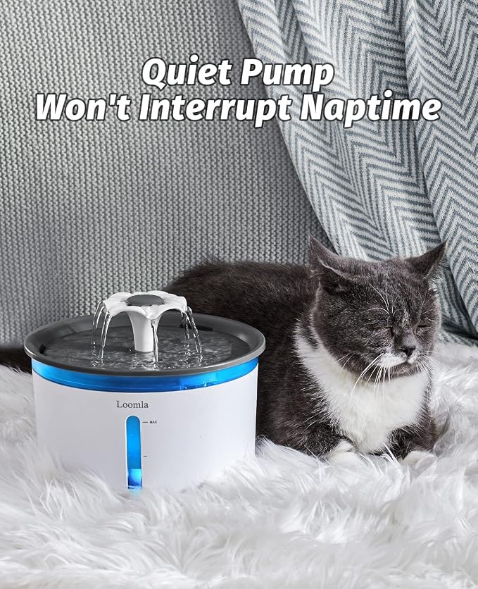 Cat Water Fountain, 85oz/2.5L Pet Water Fountain Indoor, Automatic Dog Water Dispenser with Switchable LED Lights, 2 Replacement Filters for Cats, Dogs, Pets (Dark Gray)