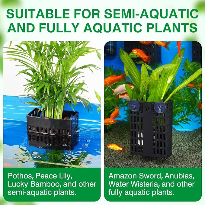 2026 Latest Upgraded Aquarium Plant Holder Adjustable Height with Extendable Hook and Suction Cup for Fish Tank Aquaponic Plant Cultivation and Aquascape Accessories Decorations (4 Pack)