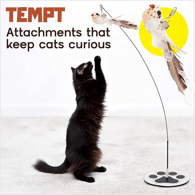 Interactive Cat Toys for Indoor Cats - 5 Replacement Feathers with Bells - Teaser Wand Toy - Self Play Bird Simulation - Bored Adult Feline Hunting Solo Chaser Activity - Kitten Juguetes para Gatos