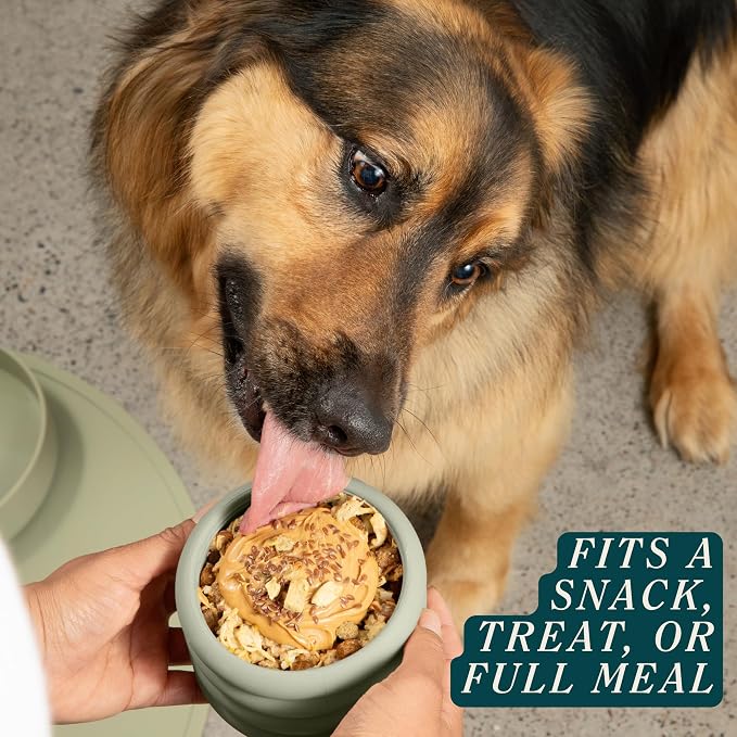 Should We Go? Interactive Dog Enrichment Toy with Freezer Plug, BPA-Free Silicone Puzzle Dog Freeze Bowl & Treat Dispenser for Mental Stimulation, Ideal for Kibble & Frozen Licks, Fits 3 oz, Small