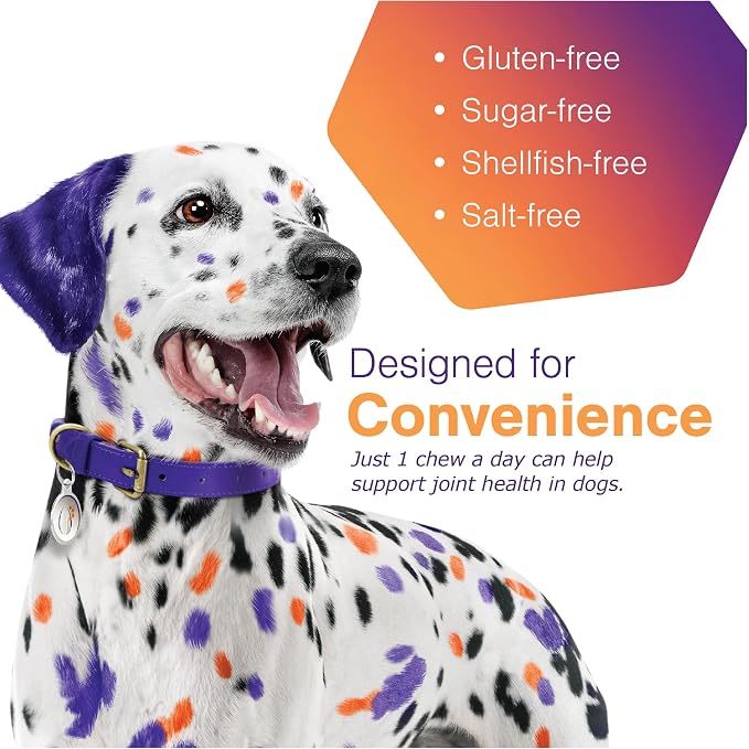 MOVOFLEX Soft Chews Hip and Joint Support Supplement for Small Dogs - 120 Count By Virbac