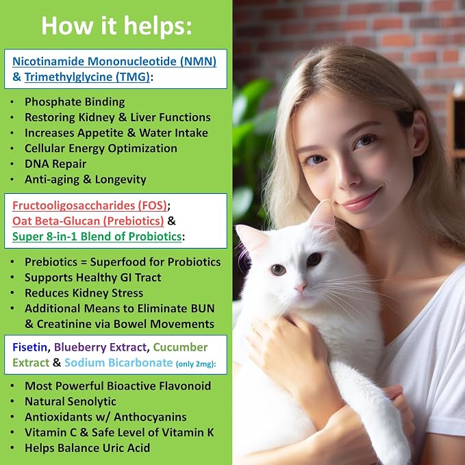 Cat Kidney Support Restore 4 Cats Dogs: 12-in-1 Benefits Super Phosphate Binder w/NMN, Fisetin, Antioxidants, Pre & Probiotic for Healthy Kidney, Liver Functions Anti-Aging & Longevity NAD+ (60 Caps)