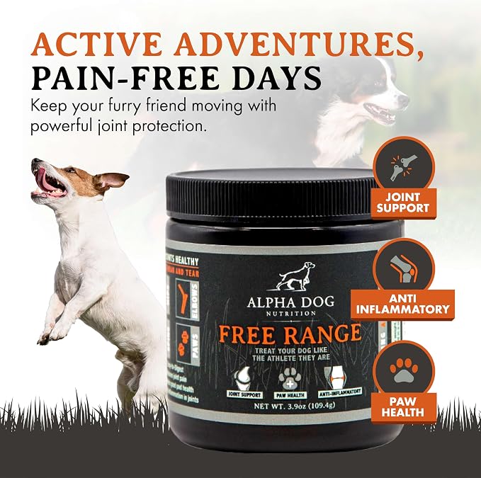 Active K9 Bundle: Free Range Joint Support + Resurgence Electrolytes