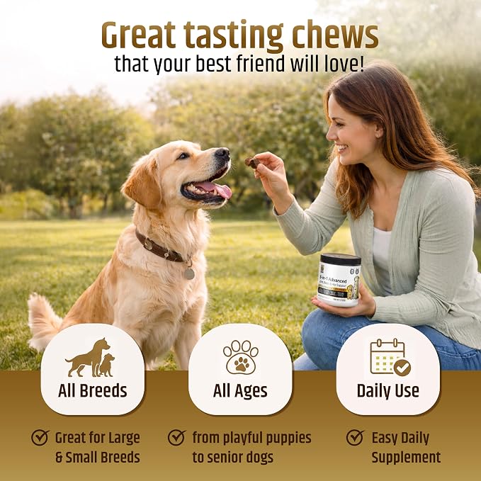 PetriGuard | Advanced Hip, Back & Joint Supplement for Dogs | Ultra Strength Formula w/ 8 Active Ingredients | USA Made & Veterinarian Approved | Glucosamine, Turmeric, MSM + 5 More - 120 Chews
