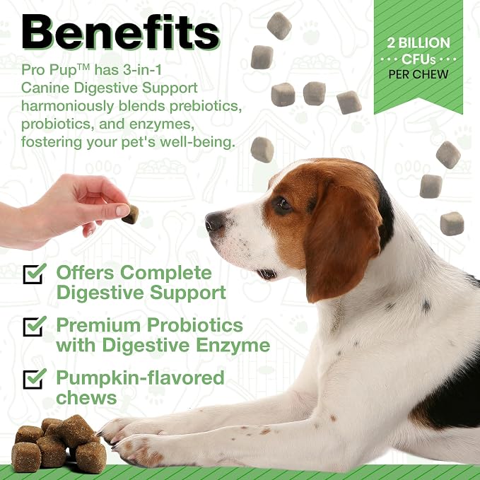 Probiotics for Dogs - Diarrhea Relief, Gut Health Support, Constipation Relief, Digestive Health Support - Vet Recommended Dog Probiotics - 240 Soft Chews that Dogs Love - Pumpkin Flavor