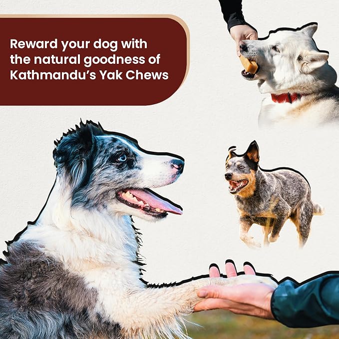 KATHMANDU'S Authentic 100% Natural Himalayan Yak Cheese Dog Chews – Large (Pack of 4) | High Protein, Delicious & Long-Lasting Dog Treats for Aggressive Chewers | Odor & Gluten Free Chews