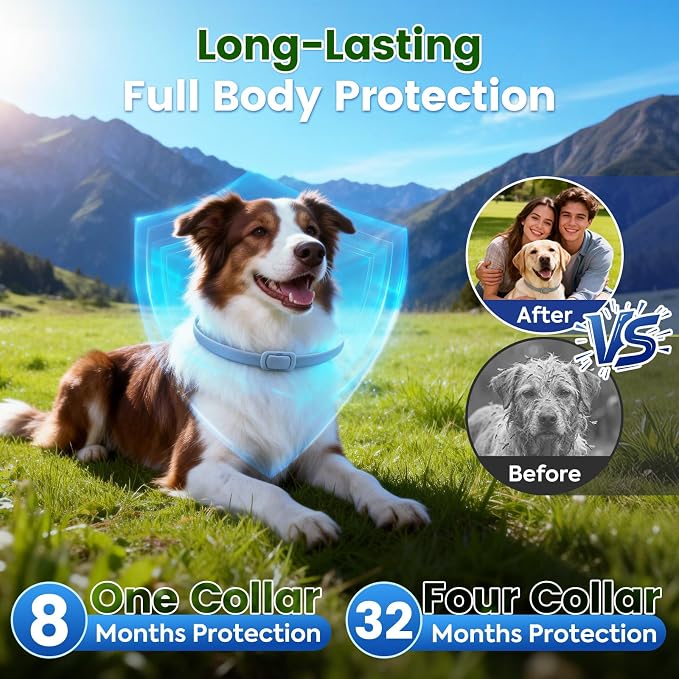 KOOSA Flea and Tick Collar for Dogs, 3 Packs Flea Collar for Dogs with Natural Essential Oils, Waterproof & Adjustable Flea and Tick Prevention Collar for Small Medium Large Dogs & Puppies, Grey 07