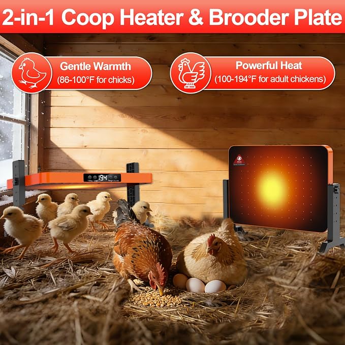 Chick Brooder Heater Plate,200 Watts Chicken Heating Brooder Plate with Adjustable Height & Temperature Display &12H Timer,Safe Chick Brooding Heater for Chicks,Quail,Ducklings