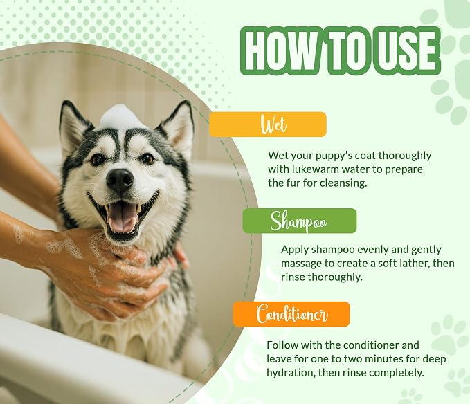 ALFIE'S CHOICE Dog Shampoo for Smelly Dogs | Fresh & Clean Shampoo and Conditioner Set | 16 fl oz Each | Lavender & Rosemary Deodorizing Wash | Odor Control for All Breeds
