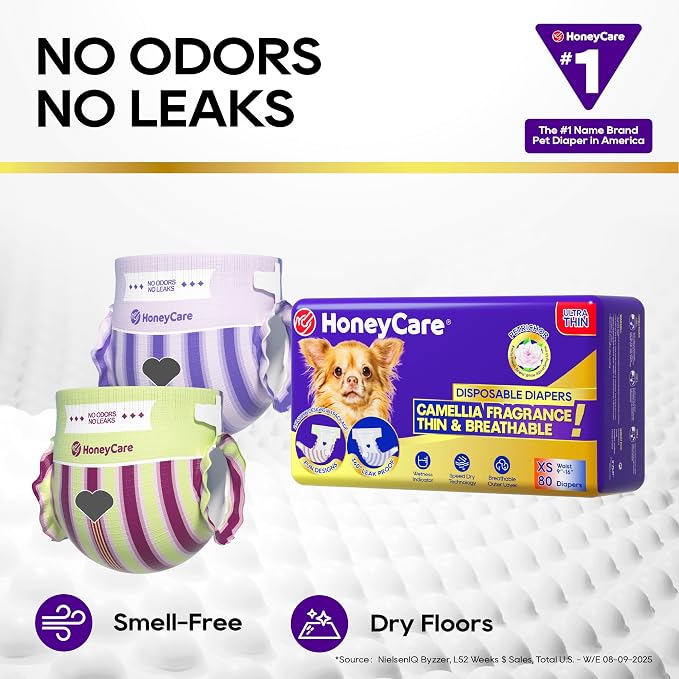 HONEY CARE Petrichor Female Dog Diaper, Camellia Fragrance, Emits Fresh Scent While Absorbing Urine, Thin & Breathable, 2 Fashion Designs in 1 Package, XS, 80 Count