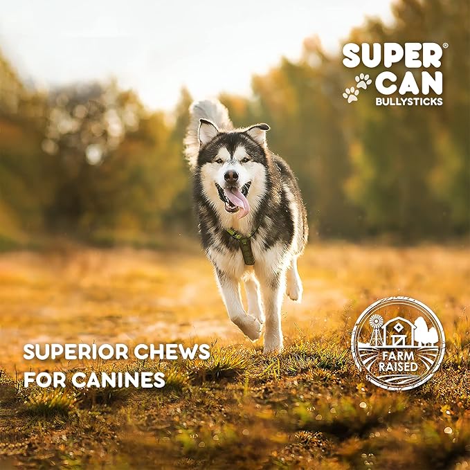 SUPERCAN 6" Bully Sticks for Dogs (10 Pack) – 100% Natural | Long-Lasting Dog Chews | Free-Range, Grass-Fed Beef | High-Protein | Odor-Free | Rawhide Alternative – Healthy Dog Treats