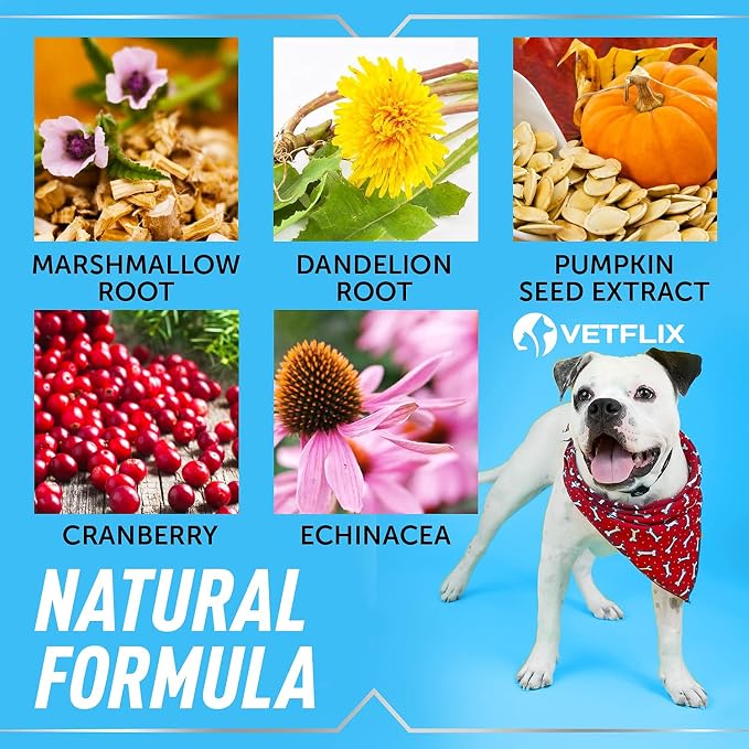 UTI and Kidney Support Liquid for Dogs, Cats, Puppies and Kittens, 2 Fl Oz | Natural Urinary Tract Supplement with Cranberry, Supports Bladder and Immune Health, Made in USA