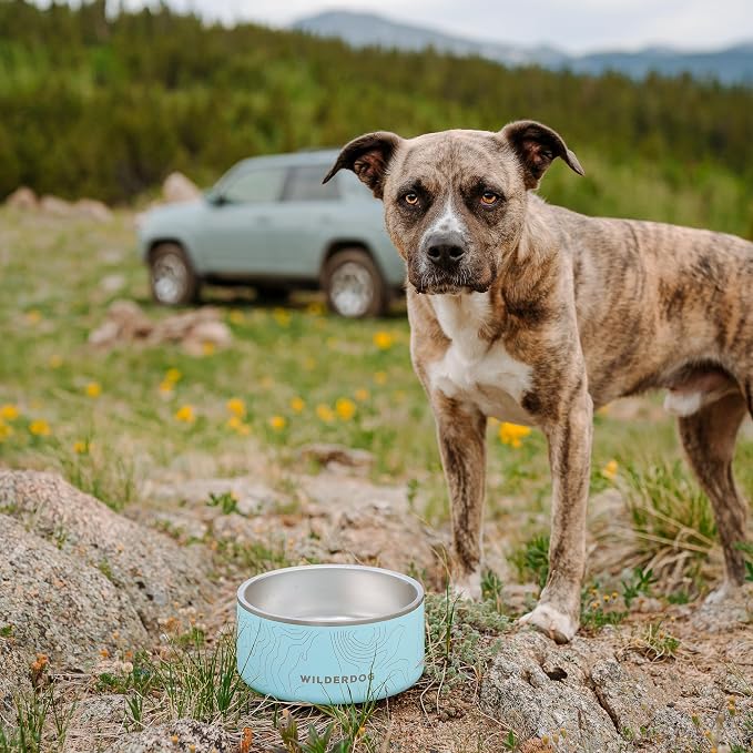 Widlerdog Stainless Steel Dog Bowl with Extra Durable Kitchen-Grade BPA-Free Stainless Steel with Non-Slip Rubber Ringed Bottom (Rose, 64 oz)