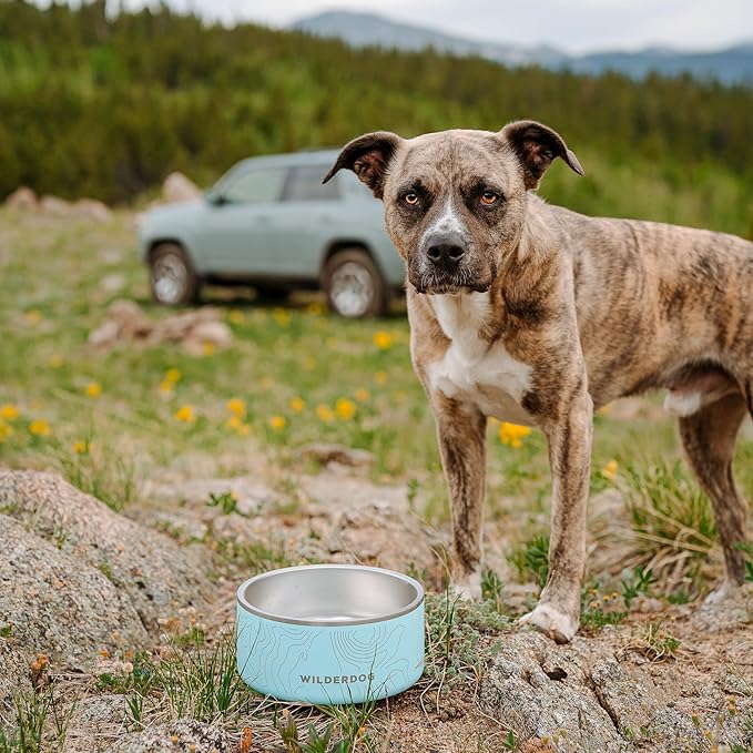 Widlerdog Stainless Steel Dog Bowl with Extra Durable Kitchen-Grade BPA-Free Stainless Steel with Non-Slip Rubber Ringed Bottom