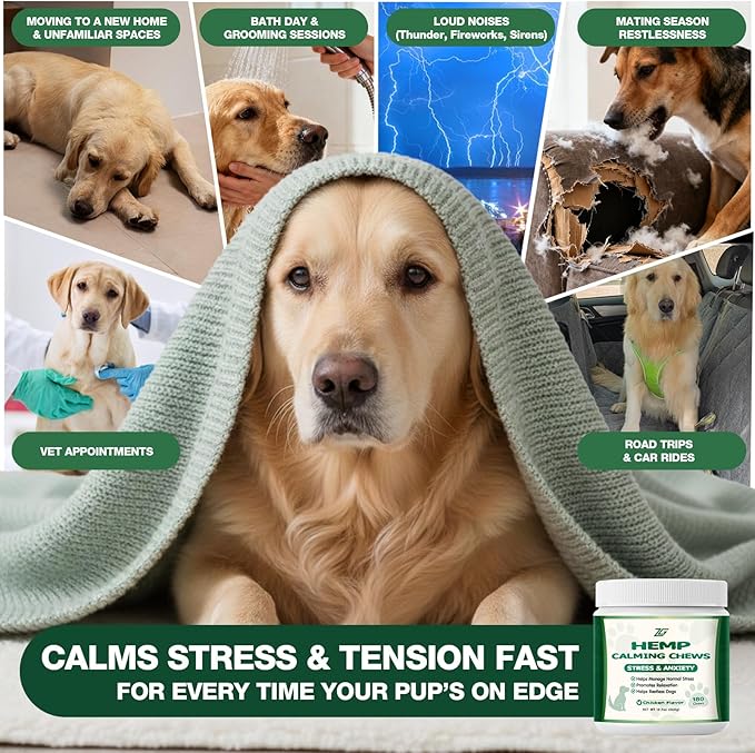 Calming Chews for Dogs, Soft Chews Treats Helps with Anxiеty Rеlief, Separation, Barking, Fireworks, Travel, Composure, Travel