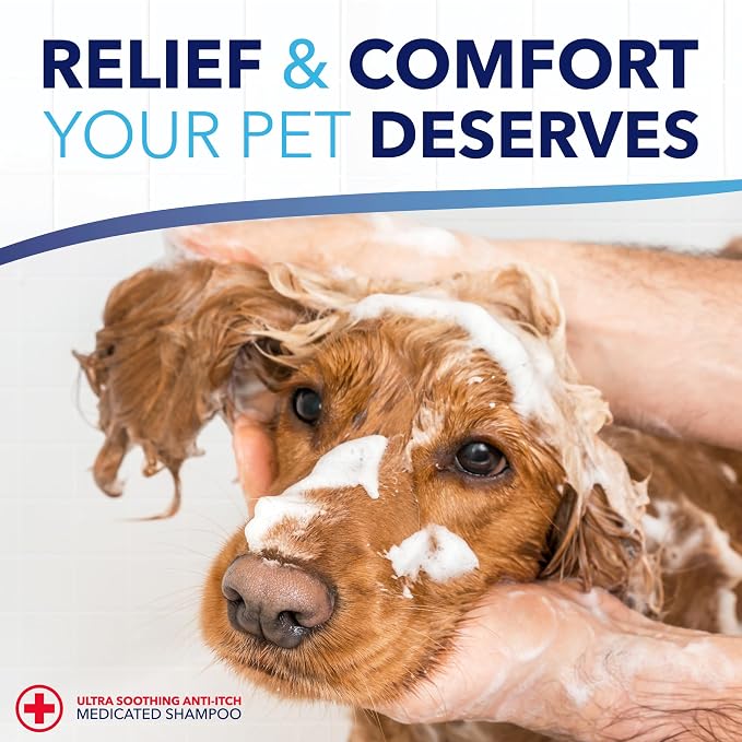 TropiClean Oxymed Medicated Cat & Dog Conditioner for Itchy Skin | Skin Soothing Oatmeal Conditioner for Dogs & Cats | 1 Gallon