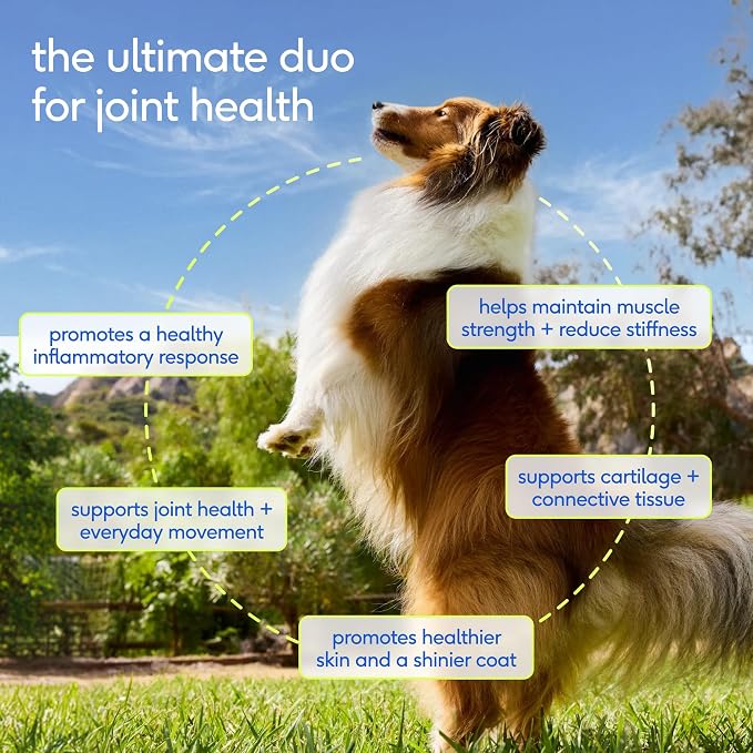 Native Pet Omega 3 Fish Oil for Dogs 16Oz & Advanced Care Hip & Joint Supplement for Dogs 12.7Oz Powder for Mobility & Movement - Supports Healthy Skin, Coat, Joints, Cartilage & Muscle
