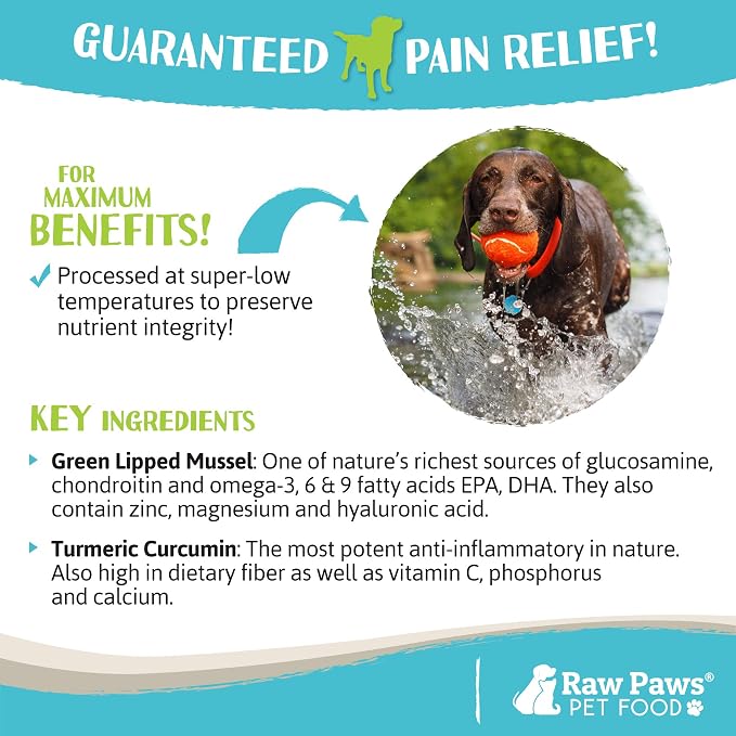 Raw Paws Green Lipped Mussel Hip and Joint Supplement for Dogs & Cats, 10-oz Powder - Green Lipped Mussels for Dogs - Natural Chondroitin Glucosamine for Dog & Cats - Dog Joint Pain Relief
