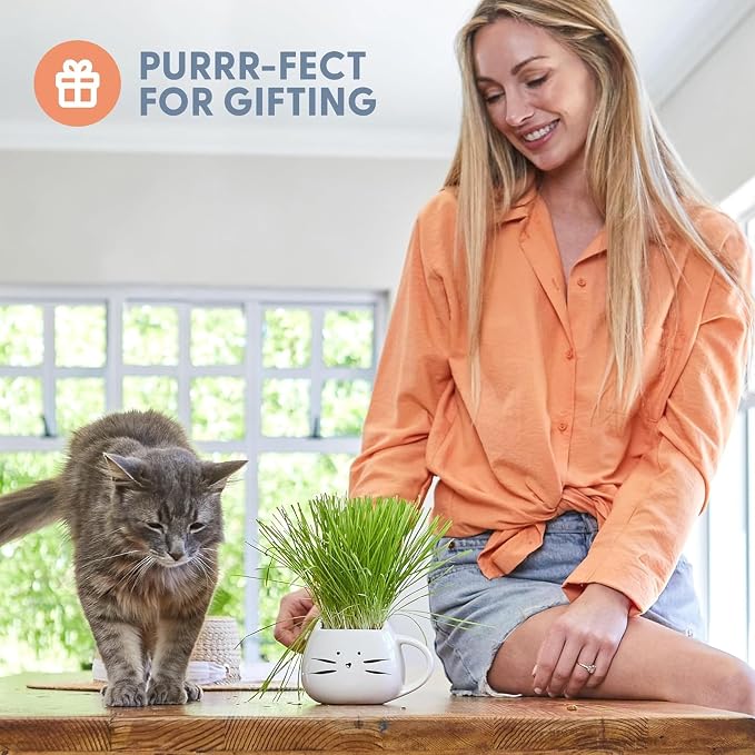 The Cat Ladies Cat Grass Growing Kit with Organic Cat Grass Seed Mix, Soil and Two Cat Grass Planters. Perfect Cat Gifts for Indoor Cats