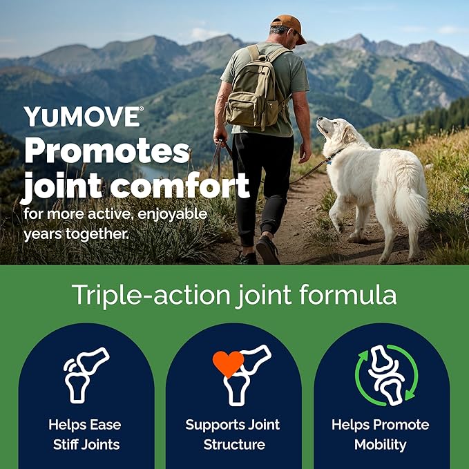 YuMOVE Hip and Joint Supplement for Dogs - Large Breed Soft Chews with ActivEase Green Lipped Mussel, Glucosamine for Dogs, Hyaluronic Acid & Omega 3-60 Chews (Large/XL Dogs)