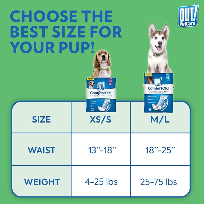 OUT! PetCare Disposable Dog Diapers Male, Puppy Belly Band, Potty Training, Doggie Diapers, Belly Bands for Male Dogs, Puppy Training, Adjustable Fasteners, Incontinence, (XS/S, 12ct)