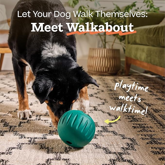 WOOF Walkabout - Enrichment Dog Toys Puzzle and Treat Dispenser - Adjustable Difficulty for Kibble and Treats - Durable Rubber - Easy to Clean - Large