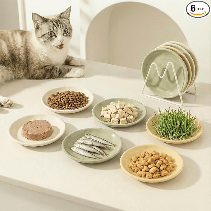Shallow Cat Bowls 6 Pack – Whisker Friendly Ceramic Cat Dishes for Wet & Dry Food, Dishwasher Safe