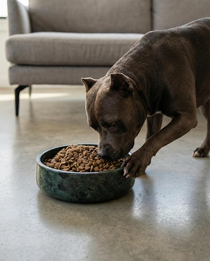 OOBOOB Natural Marble Dog Bowls, 9x9x2.5 Inch Heavy Duty Non-Slip Dog Food Bowl, Minimalist Premium Pet Bowl with Unique Veining for Dogs & Cats