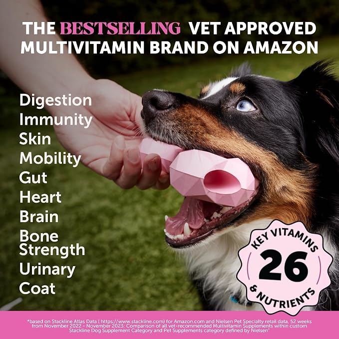 10 in 1 Multivitamin + Hip & Joint Health Soft Chew Supplement Virtual Bundle - Dog Vitamins - Glucosamine Chondroitin, Omegas, Turmeric and MSM for Overall Dog Health, Joint Supplement for Dogs.